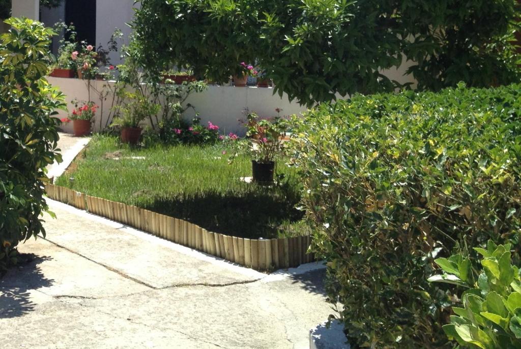 Ionian Breeze Apartments Kavos Luaran gambar